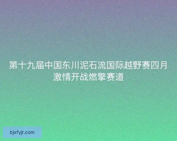 第十九届中国东川泥石流国际越野赛四月激情开战燃擎赛道